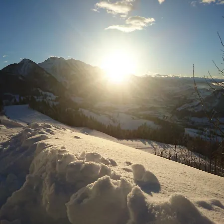 Vogei Huttn Πανδοχείο Sankt Johann im Pongau